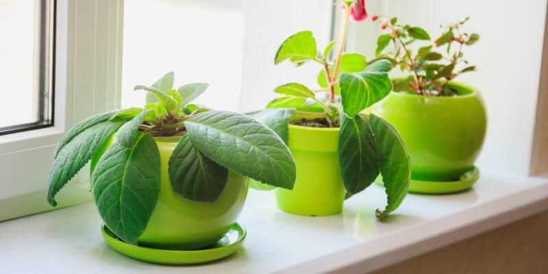 Innenfensterbank online Shop